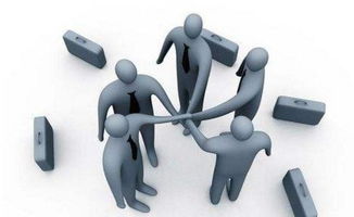 組織管理咨詢的三大基本原則 構(gòu)建高效能組織的基石