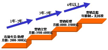營銷之路 通往世界500強領導層的戰(zhàn)略起點